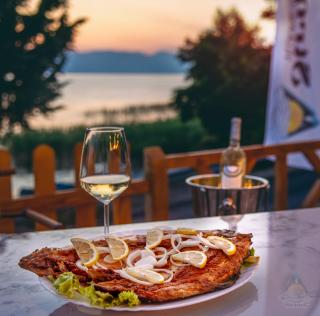 Villa&Restaurant Strmec - Elshani - 5