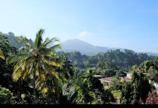 Hotel Jayanti Estate - - 0
