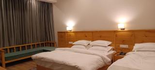 Sintik Residency - Leh - 7