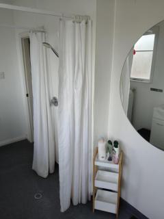Entire Property in Takaro Minutes to the City Early check in on request - Palmerston North - 9