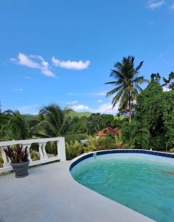 Montego Bay - Hillside Retreat - Montego Bay - 9
