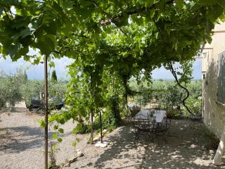 le clos des oliviers - Crillon-le-Brave - 5