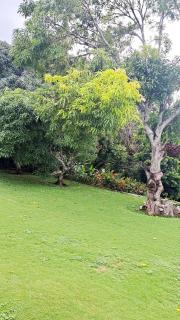 Montego Bay - Hillside Retreat - Montego Bay - 3