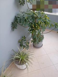 Kosher Home - Tirana - 1