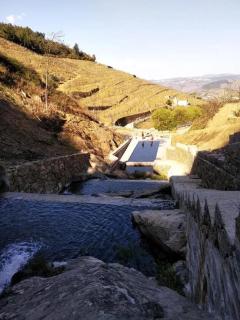 Charming Villa with Pool in Lamego - Lamego - 7