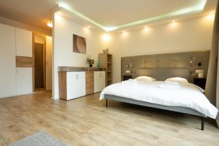 EasyStay Studio with Queen-Size Bed, Self Check-in - Vienne - 4