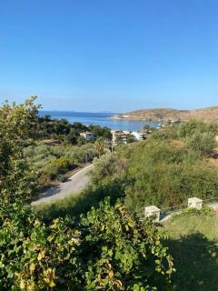 Fotis apartments - Qeparo - 8