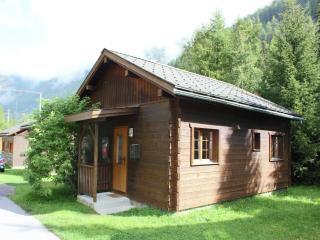 Modern Chalet in Saas-Balen with Garden - Saas-Balen - 9