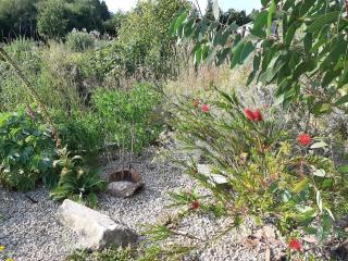 Bamboo Tranquil Oasis - Tinahely - 1