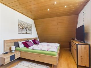 Villa Rose Neu renoviert und voll ausgestattet - Königsberg in Bayern - 1