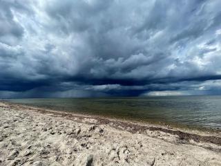 Blaumuschel Sprotte 15 - 3