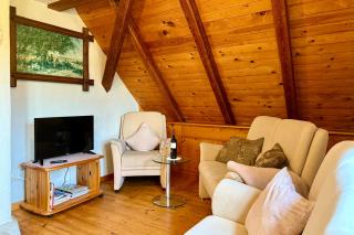 Ferienhaus Schwarzwald Mühle mit Sonnenlage, Natur, Wanderwege - Fischerbach - 2