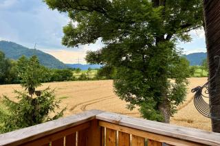 Ferienhaus Schwarzwald Mühle mit Sonnenlage, Natur, Wanderwege - Fischerbach - 1