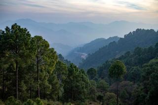 The Suhana Suffer I Toy Train & Mountains View I Apartments I Excellent Service Of Year I Nature Treks I Kasauli By Exotic Stays - Kasauli - 8