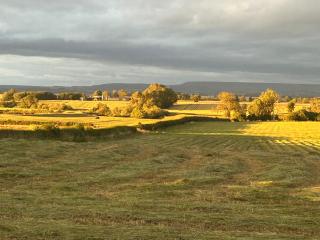 High Oak Holiday Cottage - 9