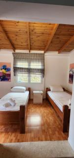 Flori Penthouse 3 - Tirana - 1