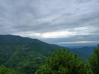The MountainsVibes I Food & Free Parking Available I Family Events Allowed I Kasauli By Exotic Stays - Kasauli - 9