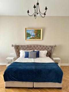Appartement d exception 100m2 avec Parking - Centre historique - Chambéry - 6