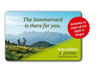Neues Luxus APARTMENT DACHSTEIN - Ramsau am Dachstein - inklusive SOMMERCARD ! - 8