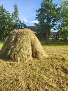 Šimtametis namelis - 5