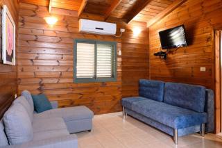 בינות תמרים - 9