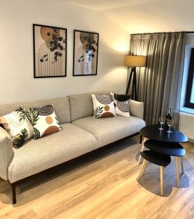 Home & Travel Apartments - AC - Parking - City Centre - Manufaktura - OFF Piotrkowska - EC1 - ATLAS Arena - Orientarium - Monopolis - 4