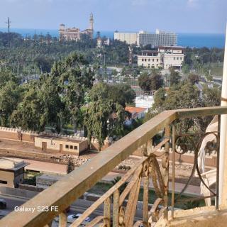رويال فيو المنتزة Royal view Elmontaza - Alessandria d'Egitto - 2