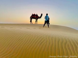 Amazing Desert Camp - Jaisalmer - 9