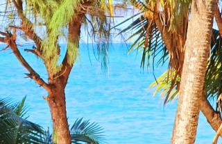COCO JAMBO PARADISE Beach - Uroa - 8