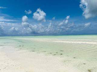 COCO JAMBO PARADISE Beach - Uroa - 5