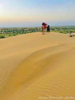 Amazing Desert Camp - Jaisalmer - 7