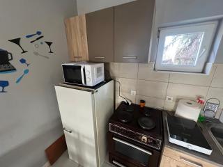 Milić apartmani 2 - Kuršumlija - 6