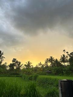 Ziraya Villa & Bungalow - Tetebatu - 5