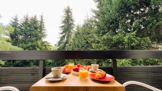 Appartement Nael - LES GETS, en plein centre et au pied des pistes - Les Gets - 2