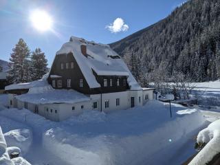 Ankogel Lofts Mallnitz - Mallnitz - 8
