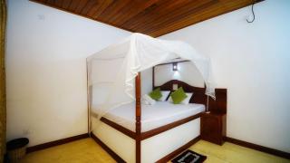 Jungle Nature Villa - Sigirîya - 6