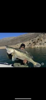 Kamp Bilećko Jezero - 0