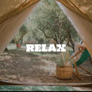 NoLux Camping Tent - Borsh - 2