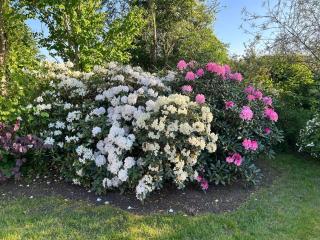 Modern house in Billund - 3