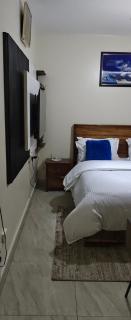 NIV Apartments - Kampala - 3