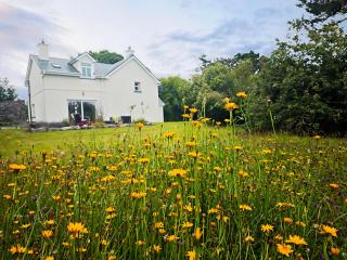 Atlantic Way Cottage - Galway - 4