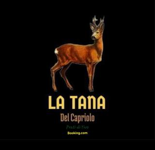 La Tana del Capriolo - Prati di Tivo - 0