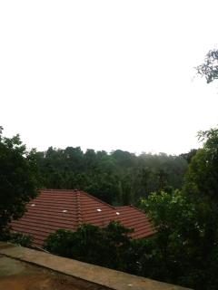 Suvi Homestay - Coorg - Ammatti - 2