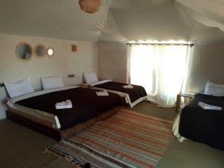 Safari luxury camp - 1