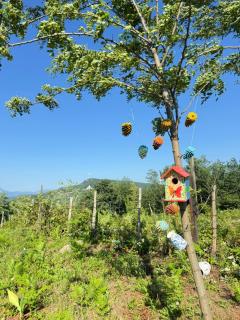 Windy Hills - 9