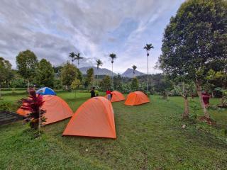 Sajang Valley Estate - Sajang - 9