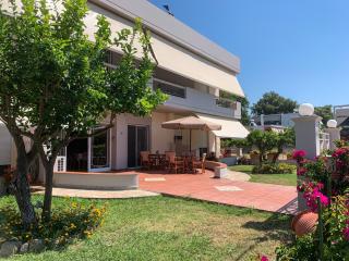 Hotel Aki - Loutra Edipsou - 6