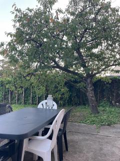 Appartement cosy avec terrasse jardin - - 7