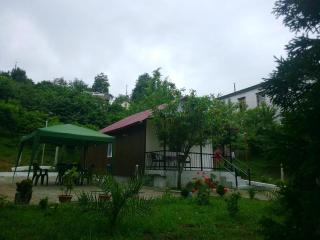 BANI tsikhisdziri - Zichisdsiri - 9