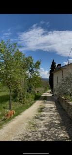 Il Poggiolo - Anghiari - 9